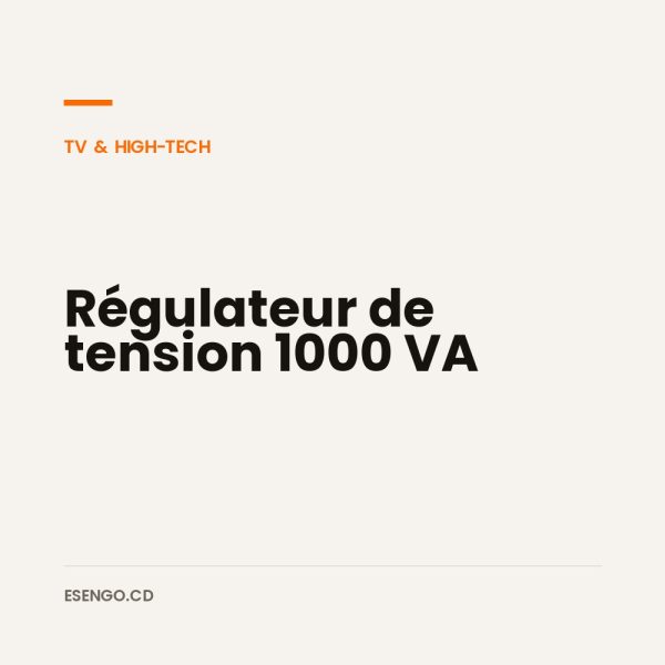 Régulateur de tension 1000 VA - Esengo